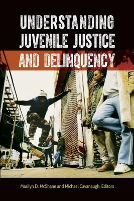 Delinquency & Justice & Fear in Eyes Child by 