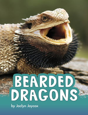 Bearded Dragons by Jaclyn Jaycox