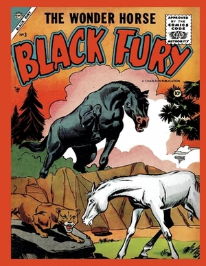 Black Fury # 3 by Charlton Comics Group