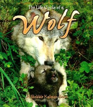 Wolf by Bobbie Bishop Kalman