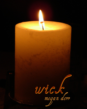 Wick by Megan Derr