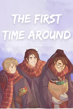 The First Time Around by Breanie