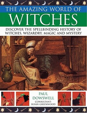 The Amazing World of Witches by Susan Greenwood, Paul Doswell