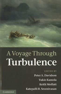 A Voyage Through Turbulence by Keith Moffatt, Peter A. Davidson, Katepalli R. Sreenivasan, Yukio Kaneda