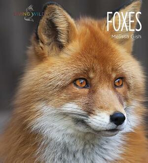 Foxes by Melissa Gish