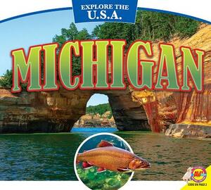 Michigan by Pamela McDowell