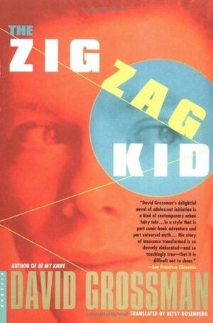 The Zigzag Kid by David Grossman, Betsy Rosenberg