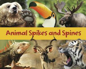 Animal Spikes and Spines by Rebecca Rissman