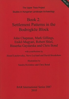 Book 2: Settlement Patterns in the Bodrogköz Block [With CDROM] by Eniko Magyari, Mark Gillings, John Chapman