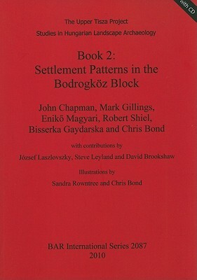 Book 2: Settlement Patterns in the Bodrogköz Block [With CDROM] by Mark Gillings, Eniko Magyari, John Chapman