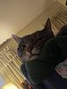 jkat1313's profile picture