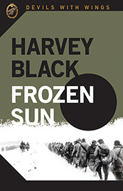 Frozen Sun by Harvey Black