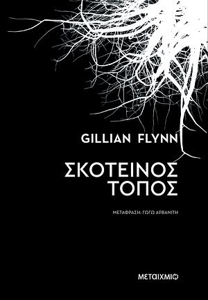 Σκοτεινός τόπος by Gillian Flynn