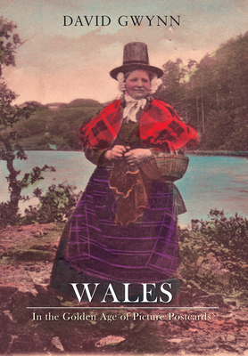 Wales in the Golden Age of Picture Postcards by David Gwynn