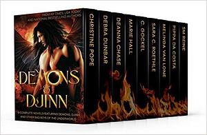 Demons & Djinn by Christine Pope