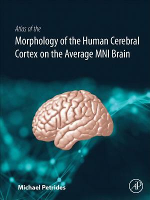 Atlas of the Morphology of the Human Cerebral Cortex on the Average Mni Brain by Michael Petrides