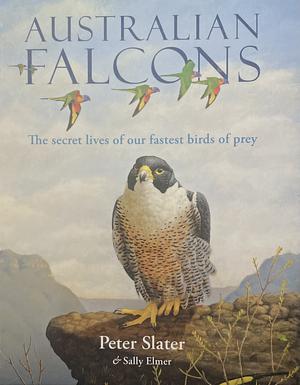 Australian Falcons by Peter Slater, Sally Elmer