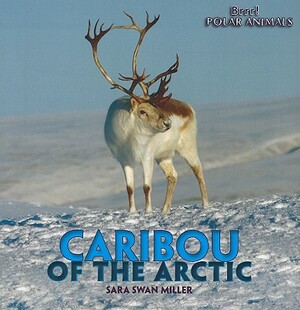 Caribou of the Arctic by Sara Swan Miller