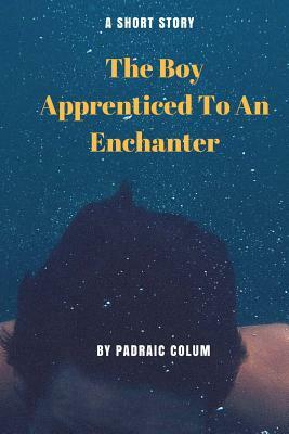The Boy Apprenticed To An Enchanter by Padraic Colum