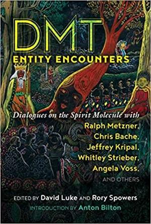 DMT Entity Encounters: Dialogues on the Spirit Molecule with Ralph Metzner, Chris Bache, Jeffrey Kripal, Whitley Strieber, Angela Voss, and Others by David Luke, Rory Spowers