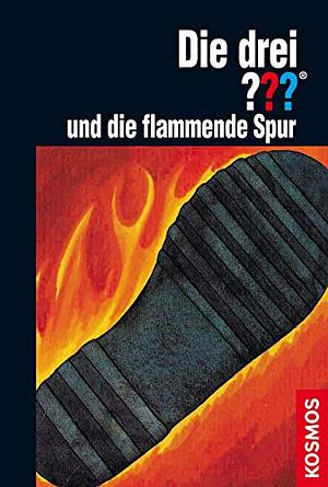 Die drei ??? und die flammende Spur (Die drei Fragezeichen #22) by M.V. Carey