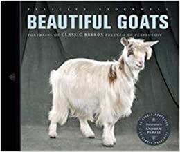 Beautiful Goats: Portraits of Classic Breeds Preened to Perfection by Felicity Stockwell, Andrew Perris