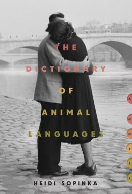 The Dictionary of Animal Languages by Heidi Sopinka