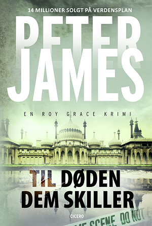 Til døden dem skiller by Peter James