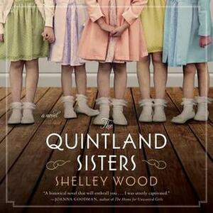 Quintland: A Novel by Shelley Wood, Tavia Gilbert