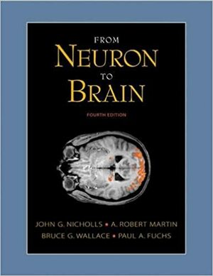 From Neuron to Brain: A Cellular and Molecular Approach to the Function of the Nervous System by John G. Nicholls