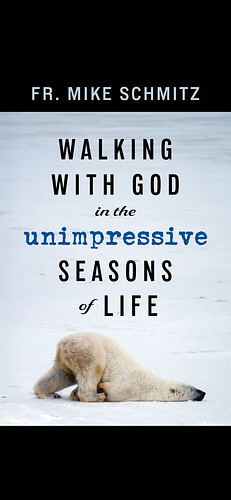 Walking with God in the Unimpressive Seasons of Life by Fr. Mike Schmitz