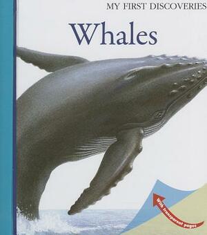 Whales by Claude Delafosse