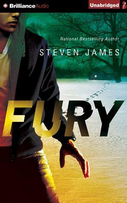 Fury by Steven James