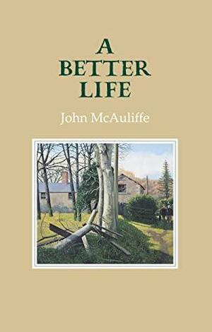 A Better Life by John McAuliffe