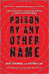 Prison by Any Other Name: The Harmful Consequences of Popular Reforms by Maya Schenwar, Victoria Law