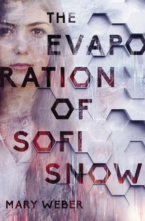 The Evaporation of Sofi Snow by Mary Weber