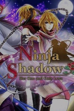 Ninja Shadow by NTT Solmare