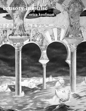 Censory Impulse by Erica Kaufman
