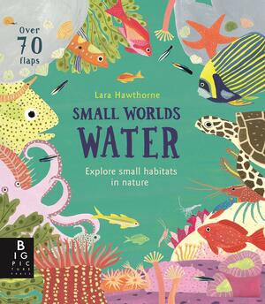 Small Worlds: Water by Lily Murray, Lara Hawthorne