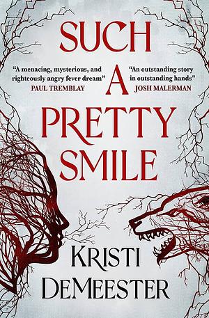 Such a Pretty Smile by Kristi DeMeester