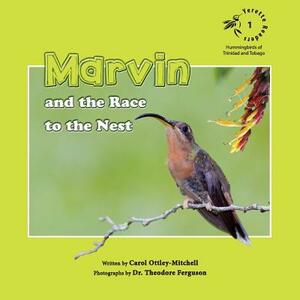 Marvin and the Race to the Nest by Carol Ottley-Mitchell