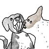 shelledpeas's profile picture