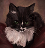 vampirecat92's profile picture