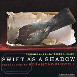 Swift as a Shadow: Extinct and Endangered Animals by Ross D.E. MacPhee, Rosamond Wolff Purcell