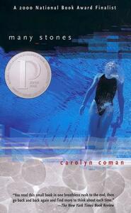 Many Stones by Carolyn Coman