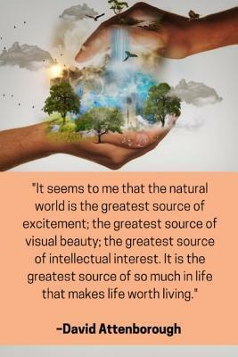 ''It seems to me that the natural world is the greatest source of excitement; the greatest source of visual beauty; the greatest source of intellectua by Enviro Noted
