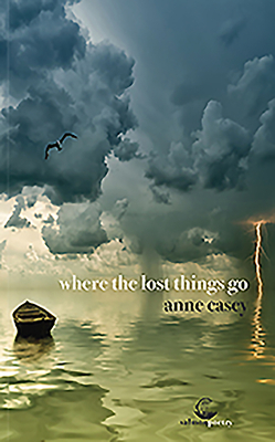 Where the Lost Things Go by Anne Casey