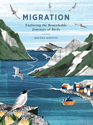 Migration: Exploring the Remarkable Journeys of Birds by Melissa Mayntz