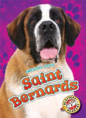 Saint Bernards by Nathan Sommer