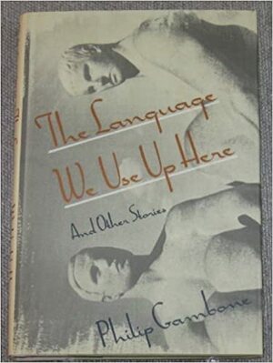 The Language We Use Up Here and Other Stories by Philip Gambone